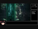 ブラッドボーン　聖杯マラソンへの導き　第11回