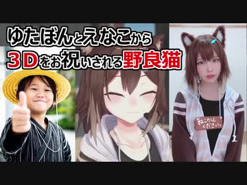 ゆたぼん と えなこ から3Dをお祝いされる野良猫【にじさんじ切り抜き 野良猫3D】