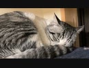 久しぶりにとられたカメラマン　＃225