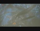 【縛り実況】再走かるしばマスモブレワイ祠巡りとコログ探し編part155。【的な何か】