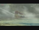【縛り実況】再走かるしばマスモブレワイ祠巡りとコログ探し編part156。【的な何か】