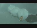 【縛り実況】再走かるしばマスモブレワイ祠巡りとコログ探し編part157。【的な何か】