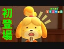 【実況】史上最低！どうぶつの森　Part20