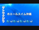 ホエールスイム沖縄・水中からのスパイホップ！