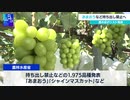 あまおうなど持ち出し禁止へ 農水省がリスト発表