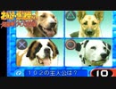 出演者が懐かしすぎるあの番組【オールスター感謝祭】