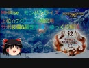 【MHRiseゆっくり解説】サポガン装備紹介と☆7クエスト2分代周回