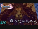 PC版【ドラクエ11S】友人から誕生日祝いに頂いたドラゴンクエスト11Sを完全初見プレイ Part30【ゲーム実況】