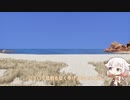 死にそうなので散歩します。6日目【Castle_Rock_Beach,West_Australia】