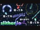 【スリザリオ】ザッキーと合流すれば弱肉強食のミミズ世界で勝てると思ったが合流することすら難しいゲームだった【slither.io】