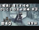 【解説実況】誰でも攻略出来るだけ解説する#40　白王の冠編3【Darksouls 2】