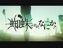 すっごーい！キミは蜘蛛のフレンズなんだね