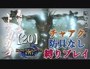 【モンスターハンターライズ】チャアク防具なし縛り実況『トビカガチ』【20】