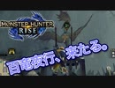 【双剣第一】モンスターハンターRISE#10（里クエ★３百竜夜行）