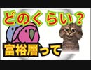 富裕層ってどのくらい？