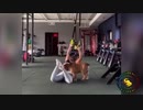 爆笑！おもしろ動物動画集！No.８
