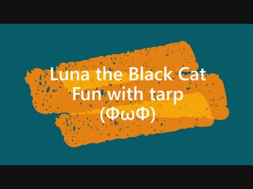 Let's play with Tarp!  / Touch and Go
