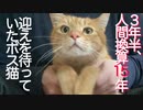 3年間待った野良猫、家猫への一歩を踏みしめる