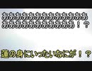 【ゆっくり幻想入り】　裏編　記憶をなくした優男が幻想入り　part5