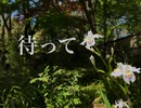 社底旅行『待って feat.初音ミク』