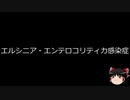 【ゆっくり朗読】ゆっくりさんと不思議な病気 その335