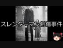 【ゆっくり朗読】ゆっくりさんと世界事件簿 その113