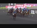 超高速テイオーステップ