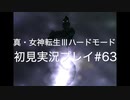 素人が神ゲーを堪能する【真・女神転生Ⅲ_実況プレイ】#63
