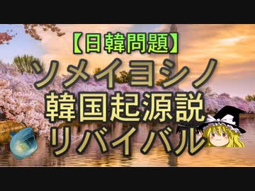 【ゆっくり解説】ソメイヨシノ韓国起源説リバイバル