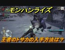 モンハンライズ　王者のトサカの入手方法は？　＃１９６【ＭＨＲ】