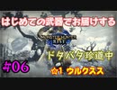 【MHRise】#06 はじめての武器でお届けするドタバタ珍道中 【☆1 ウルクスス】
