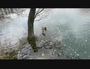 ローザンベリー多和田