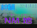 水中動画（2021年3月30日）in NM地