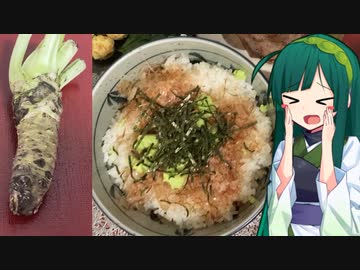 生わさびの辛さと風味をを堪能！ワサビ丼【ずん子の気まぐれキッチン#19】【Voiceroidキッチン】