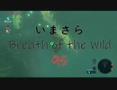 【実況プレイ】いまさらゼルダの伝説 Breath of the Wild: 95