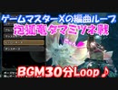 【MizutsuneBGM】タマミツネ戦闘曲３０分ループ【MHRiseLOOPMUSIC】