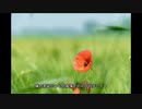 幸せの景色