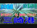 水中動画（2021年4月1日）in 三崎港