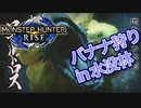 【双剣第一】モンスターハンターRISE#11（里クエ★３ロアルドロス）