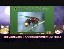 【ゆっくり解説】『オリエントスズメバチ』虫が太陽光発電！！