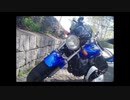 【バイク】第３回・所沢編【ついなちゃん車載動画】