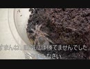 [くやしい//]タランチュラ飼育日記その１５０[眠たくてビクンビクン//]