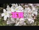 お花見行ってきたよ～