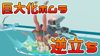 [スマブラSP]巨大化ホムラとヒカリが逆立ちさせられる動画[いろいろ乱闘]