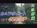 【モンハンライズ】1回で45000P カムラポイントの稼ぎ方 大社跡編【MHRise】