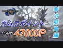 【モンハンライズ】1回で47000P カムラポイントの稼ぎ方 寒冷群島編【MHRise】