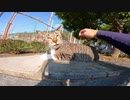 公園にいた猫をナデる。キジ白猫「えっ？もう終わり？」