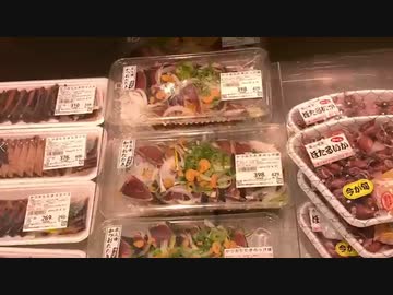 2021/04/11放送【9日目夕食買出し】猫と車中泊　日本縦断　サイコロの旅　北海道にたどり着けるか？【旅猫あずき～保護猫から旅猫へ～】