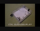 ありんこ観察日記１　Arinko Observation Diary 1 (1)