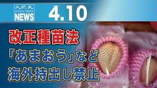 改正種苗法「あまおう」など海外持出し禁止